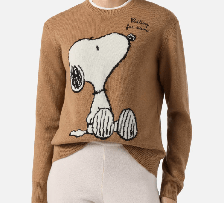 MAGLIONE SNOOPY - ABBIGLIAMENTO - Due Piedi