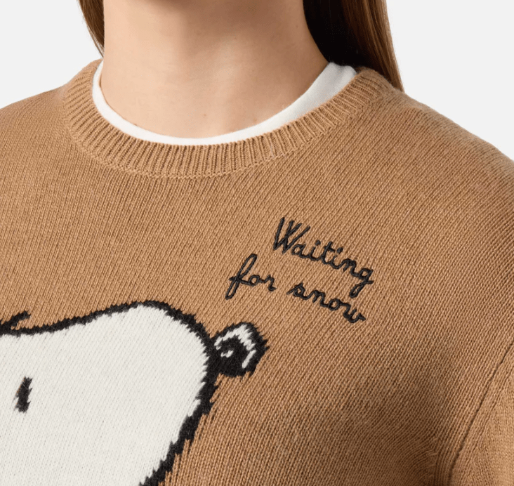 MAGLIONE SNOOPY - ABBIGLIAMENTO - Due Piedi